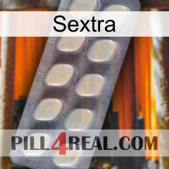 Sextra 08